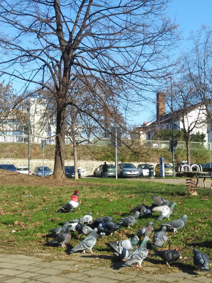 20260107_120235_Burst01 (1).jpg